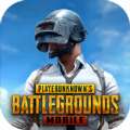 地铁逃生pubg国际服 下载安装正版2024 v3.0