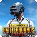 绝地求生刺激战场国际服 pubg下载 v0.9.5.29