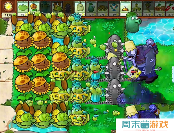 《植物大战僵尸杂交版》钢刺坚果王2通关攻略