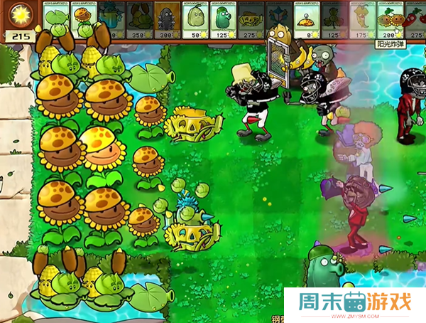 《植物大战僵尸杂交版》钢刺坚果王2通关攻略