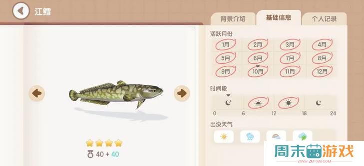 《心动小镇手游》江鳕钓鱼时间地点介绍