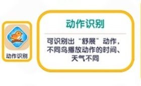《心动小镇》观鸟爱好解锁攻略