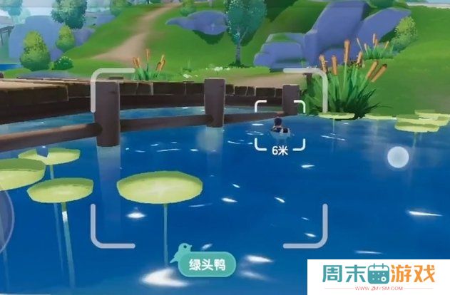 《心动小镇》观鸟爱好解锁攻略