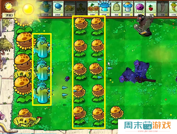 《植物大战僵尸杂交版》豌豆炮2通关方法