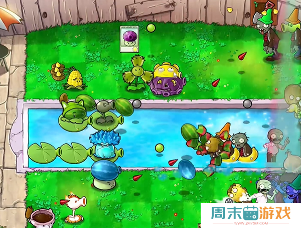 《植物大战僵尸杂交版》西瓜猫蒲2通关技巧