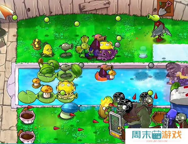 《植物大战僵尸杂交版》西瓜猫蒲2通关技巧