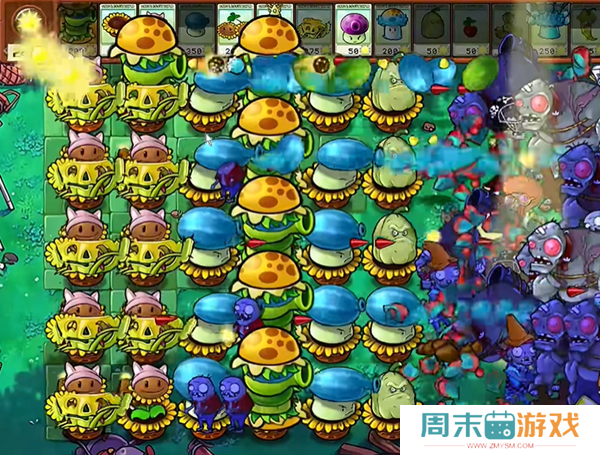 《植物大战僵尸杂交版》汉堡王1通关攻略