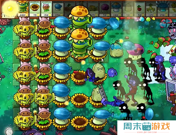 《植物大战僵尸杂交版》汉堡王1通关攻略
