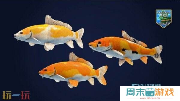 知名钓鱼游戏《野性的呼唤：垂钓者》最新DLC正式上线