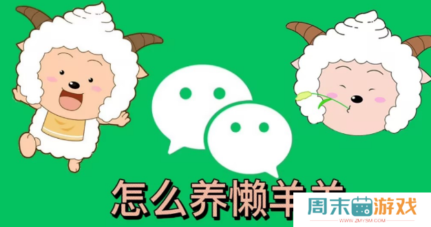 微信状态怎么养懒羊羊
