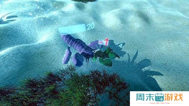 广阔的海洋领域等待探索
