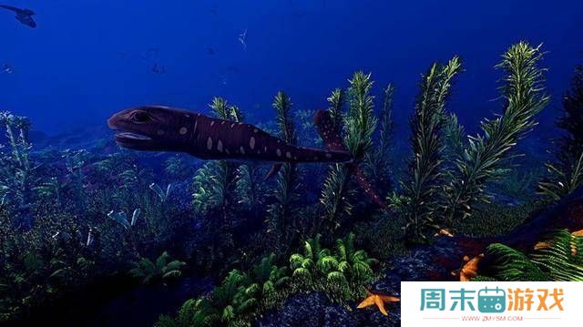 玩家好评如潮